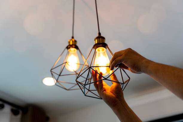 Best Electric Panel Repair  in Wanamingo, MN