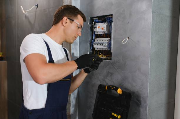 Best Emergency Electrical Repair  in Wanamingo, MN