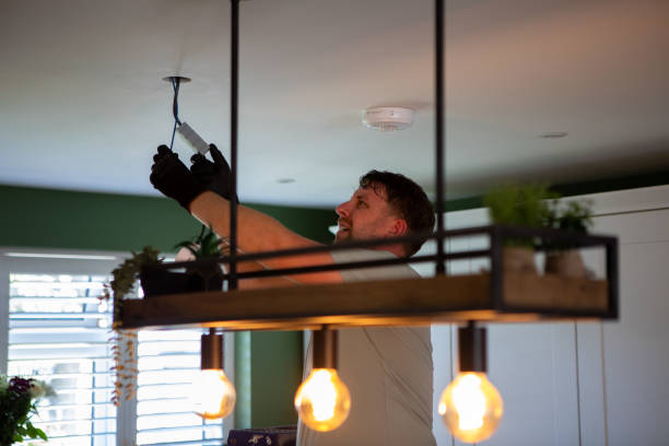 Best Residential Electrician Services  in Wanamingo, MN