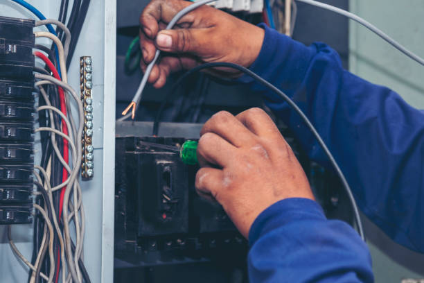 Best Electrical Rewiring Services  in Wanamingo, MN