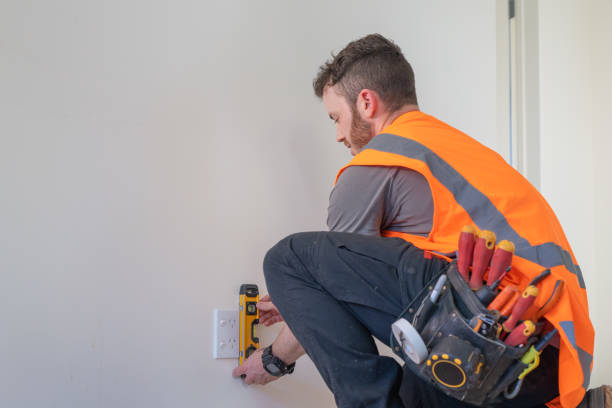 Best Affordable Electrician  in Wanamingo, MN